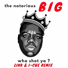 The Notorious BIG - Who Shot Ya [Link & I-Cue Remix]