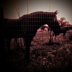 2pc - Entrailz (What I Got-GhostRemix)