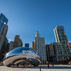 The Chicago Bean - Чикагская фасоль
