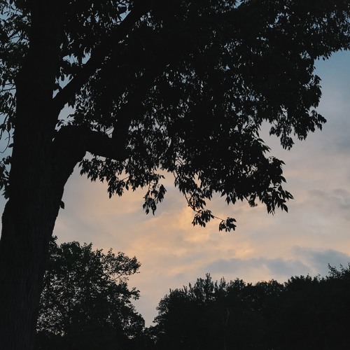 Fauré: Soir (1894)