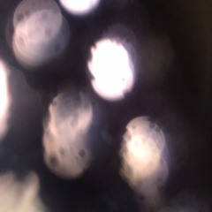 still trying (iPhone recording)