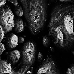 Brecc - Black Soul (OUT NOW)