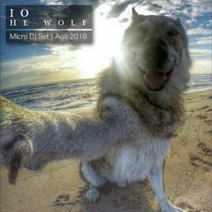 [Micro Ago 2018] IO Set