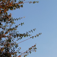 verzache - waiting for you (remix)