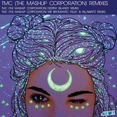 The Mashup Corporation - Mr Bromantic TKW Remix