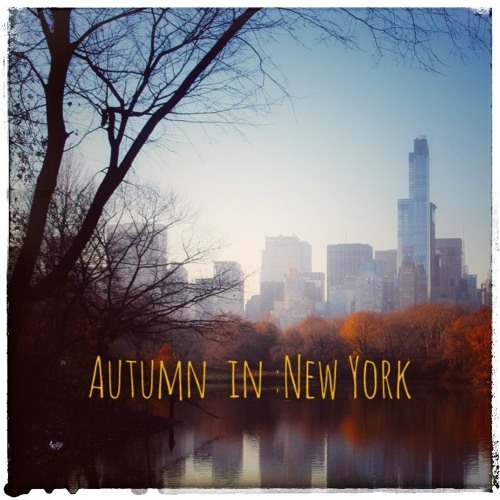 Autumn In New York