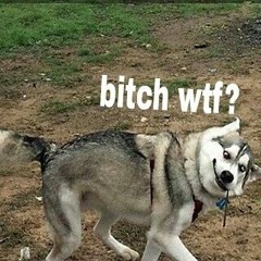 Bite Your Soul Orginal Song By Shiloh X HYE SUNG Remix Itchy The Sinner