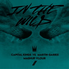 In The Wild Capital Kings VS Martin Garrix (MASHUP VLOUR)