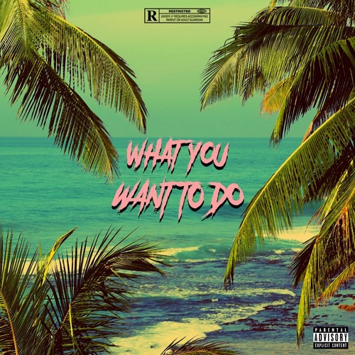 What You Want To Do (Prod.Zeeky Beats)
