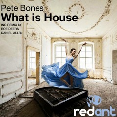 Pete Bones - What Is House (Daniel Allen Remix) - Red Ant Records