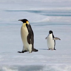 Dew Kritnatee - Discovery (Demo)