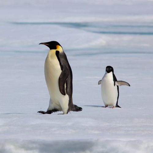 Dew Kritnatee - Discovery (Demo)