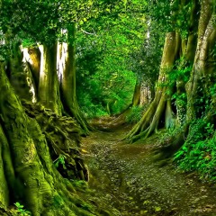 Lost In The Blizzard