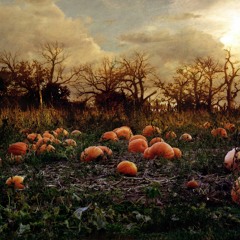 Pumpkin Patch 10-08-2017