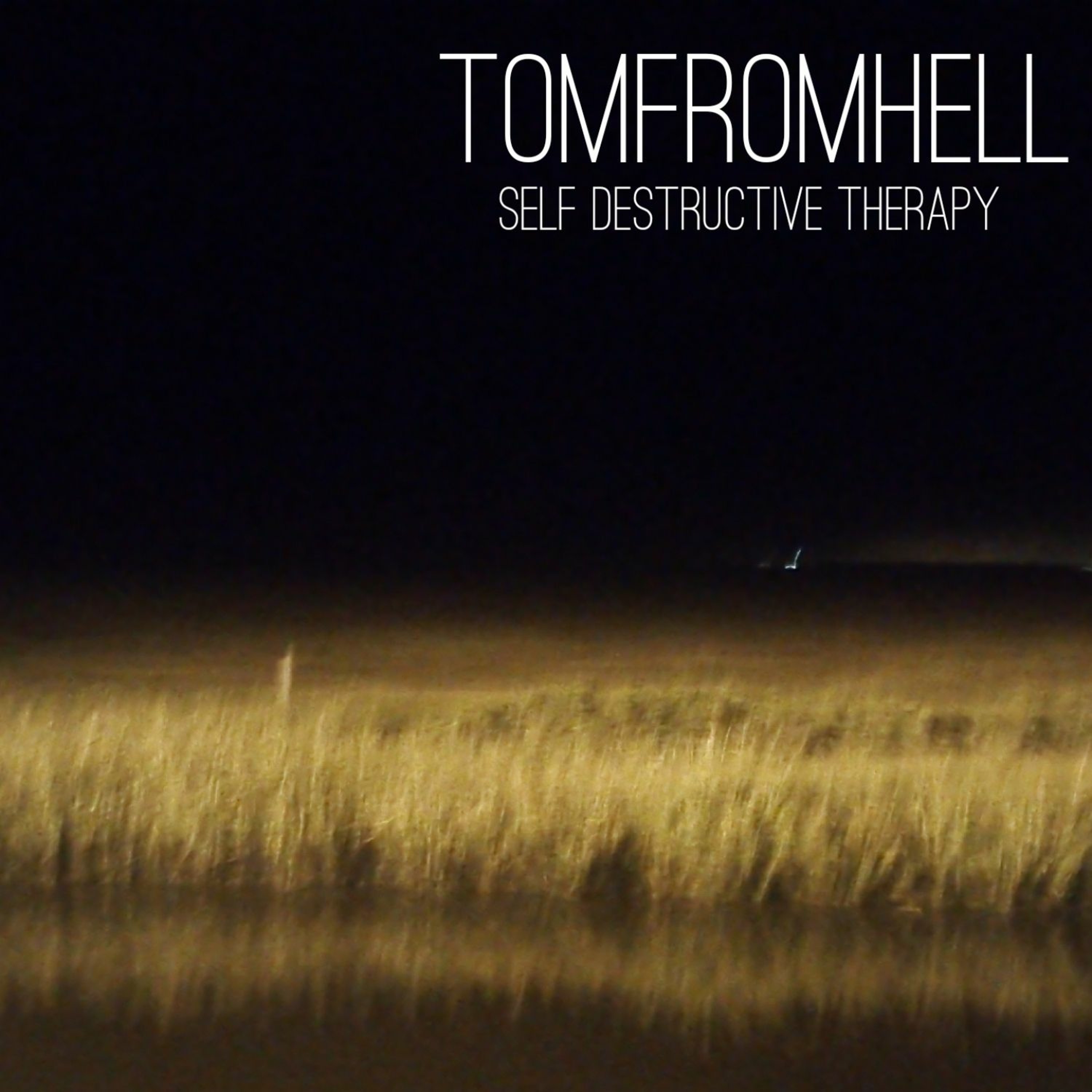 SeLF DeSTRuCTiVe THeRaPY episode artwork