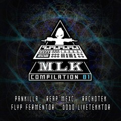 Flyp Fermentor & DoDo Livetekktor - Strange Union