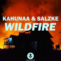 Wildfire (w/ SALZKE) [JUMPING SOUNDS RELEASE]