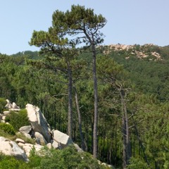 portugal summer experience