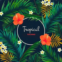 Bori (TLV) -  Tropical, Latin & Indian House and Techno (With A Smile)