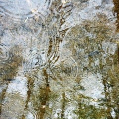 Что Такое Осень (Autumn)