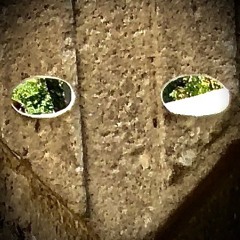 "Deep Sound Vol. 02"