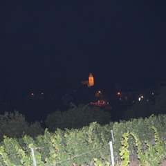 quorty - mad_kidz_on_citi_bikes.wav