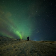 Vijay Van Der Weijden - A Moment Of Stasis