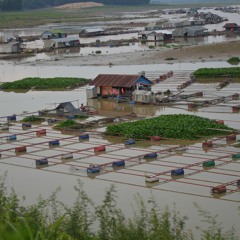 Khu Phố Ngày Xưa - Trường Vũ