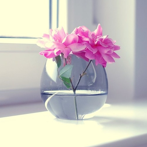 سورة الرعد - وديع اليمني