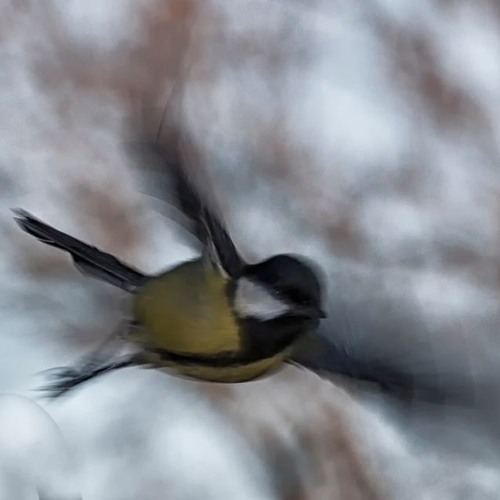 Blue Hour Murder Mystery