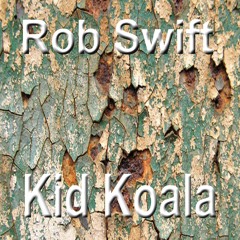 Rob Swift