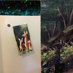 Organ Study Nos. 43,44