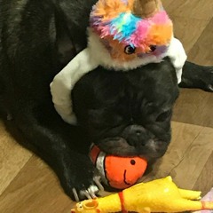 Swallow ocean - 프렌치불독 (FEAT.쥬쓰)