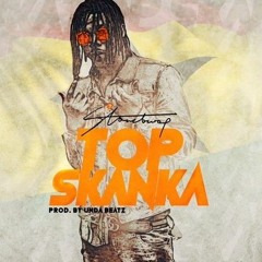 Stonebwoy - Top Skanka - Instrumental Remake (prod. By Freddrix)
