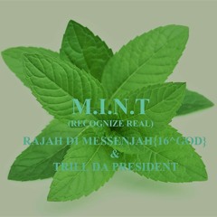 M.I.N.T (Recognize Real)- RaJah Di MessenJah{16^GOD} Ft. Trill Da President [PROD. GUILLERMO]