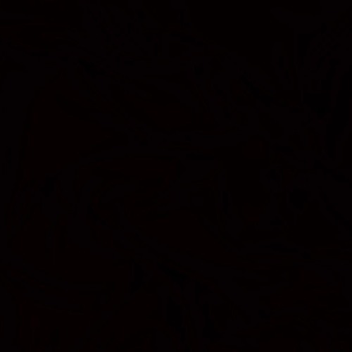 HYPERCADENCA (LIVE)