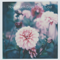 How Much Does Love Cost (prod.scottysplash)