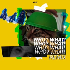 WHO? WHAT! (REMIX)