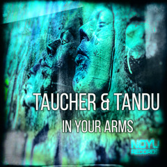 taucher & tandu   In Your Arms