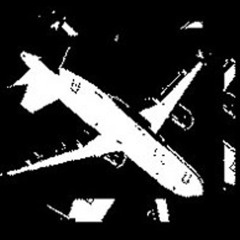 Even Ms. Butterfly Knows The Sun Shall Set On Every Empire