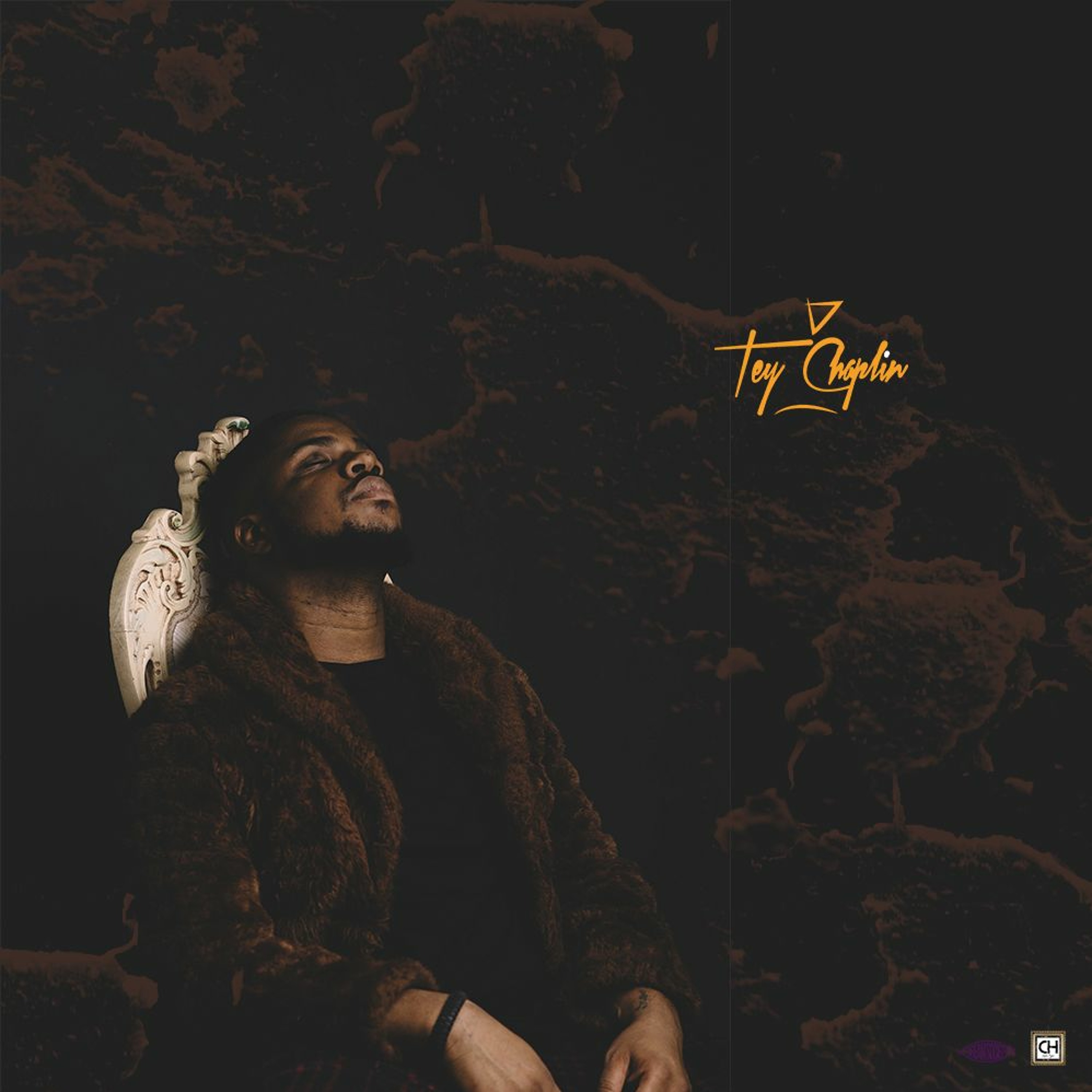 TheCarterCollective by Tey Chaplin