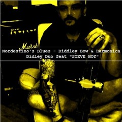 Nordestino's Blues feat. Shakee Steve Hoy