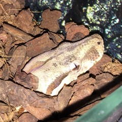 I Have To Go To Bed At Night