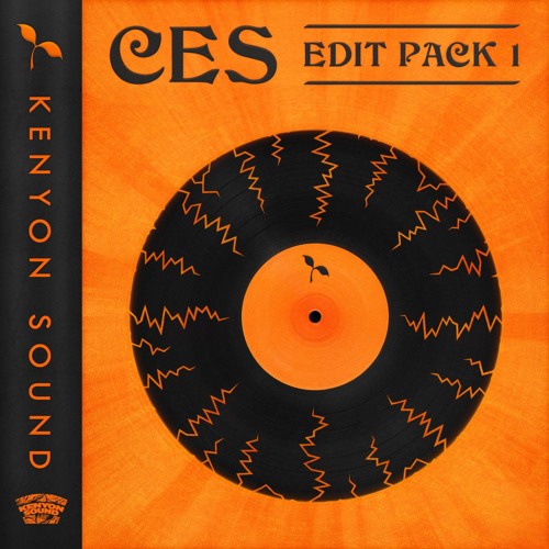 Kelis - Attention (DJ Ces Refix)