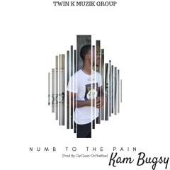 Kam Bugsy - Numb To The Pain (Prod By. De'Quan OnTheRise)