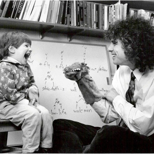 steven pinker enlightenment steven pinker enlightenment