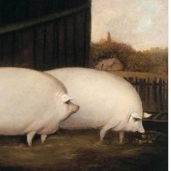 Messing Around (in D)