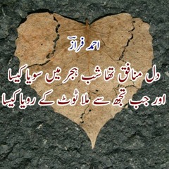 Dil Munafiq Tha Shab - E-Hijr Mein Soya Kaisa