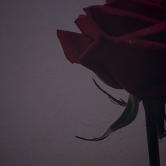 Four Roses