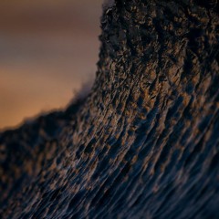 WAVE²
